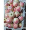 山东苹果大量上市，价格便宜，质量很好