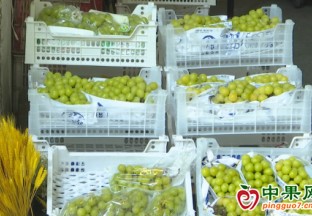 陽光玫瑰葡萄掉入“十元檔” ()