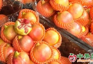 云南本地石榴量少價高 ()