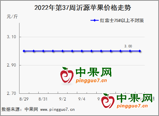 图片8