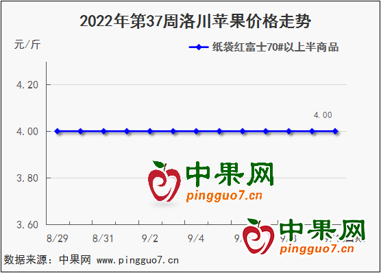 图片10