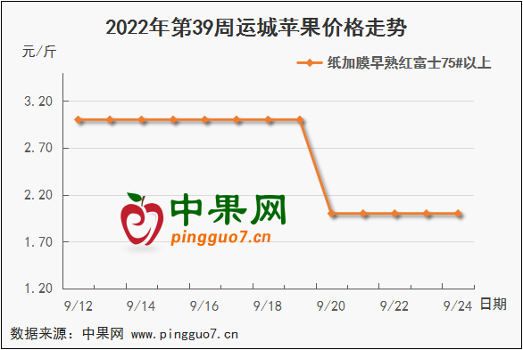 图片 7