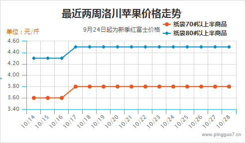 图片8