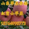 18764995773山东蒙阴红富士苹果大量批发