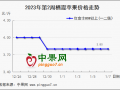 春节备货进行时  苹果价格略显混乱 ()