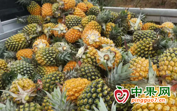 图片2