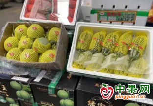 徐州早春水果抢“鲜”上市 ()