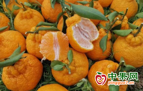 图片2