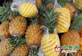 广东菠萝开始大量上市了。 ()