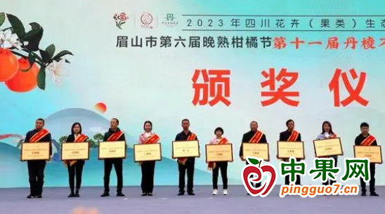 图片1