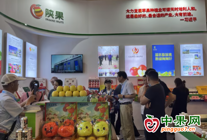 图片1
