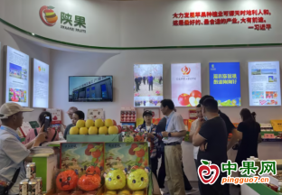 长武苹果亮相第三届海南热带水果产业博览会 ()