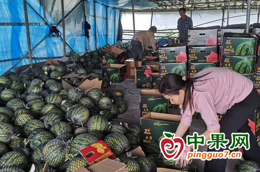 图片7