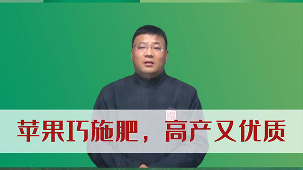 苹果巧施肥，高产又优质 ()