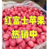 出口贸易 市场批发 电商供货