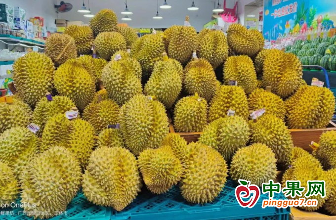 廣西市場榴蓮降價 廣西市場榴蓮降價