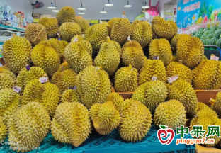 廣西市場榴蓮降價 ()