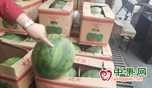 图片1