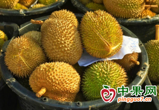 泰国水果节在广西南宁举办 ()