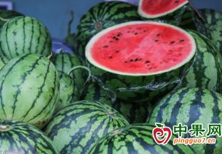 西瓜价格下滑 销量明显增加 ()