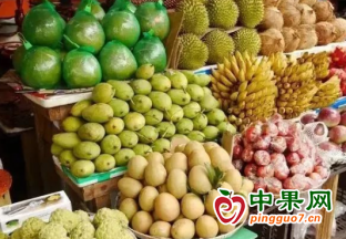 凭祥铁路口岸进境水果大幅增长 ()
