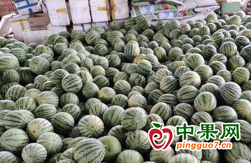 图片5
