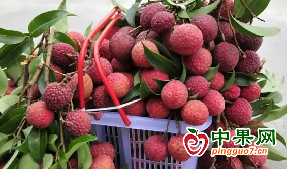 图片6