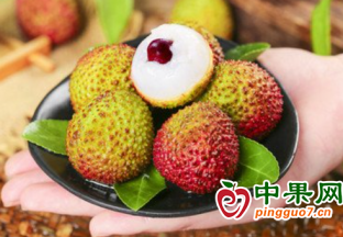 妃子笑荔枝行情急轉直下 ()