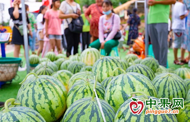 图片2