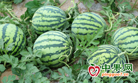 图片2
