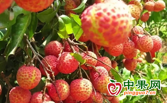 图片2