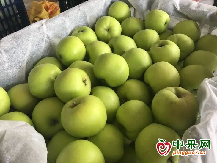 微信图片_20230708115158
