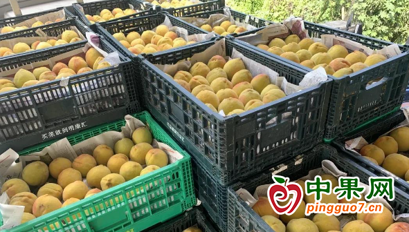 微信图片_20230708115206