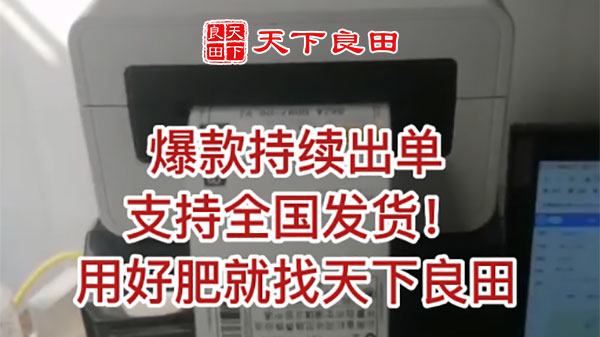 爆款持续出单 ()