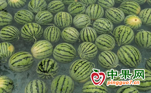 图片4