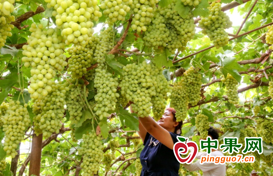 图片2