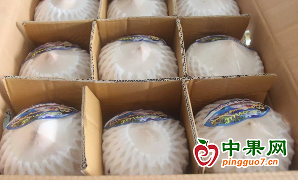 图片2