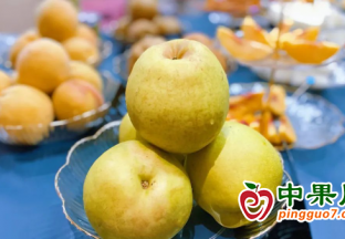 建宁优质水果品鉴会来到上海 ()