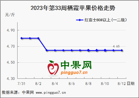 图片11