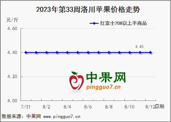 图片44