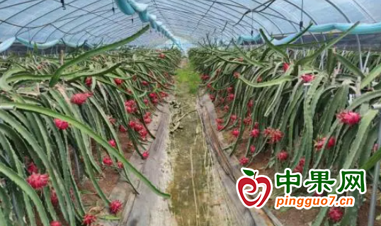 图片2