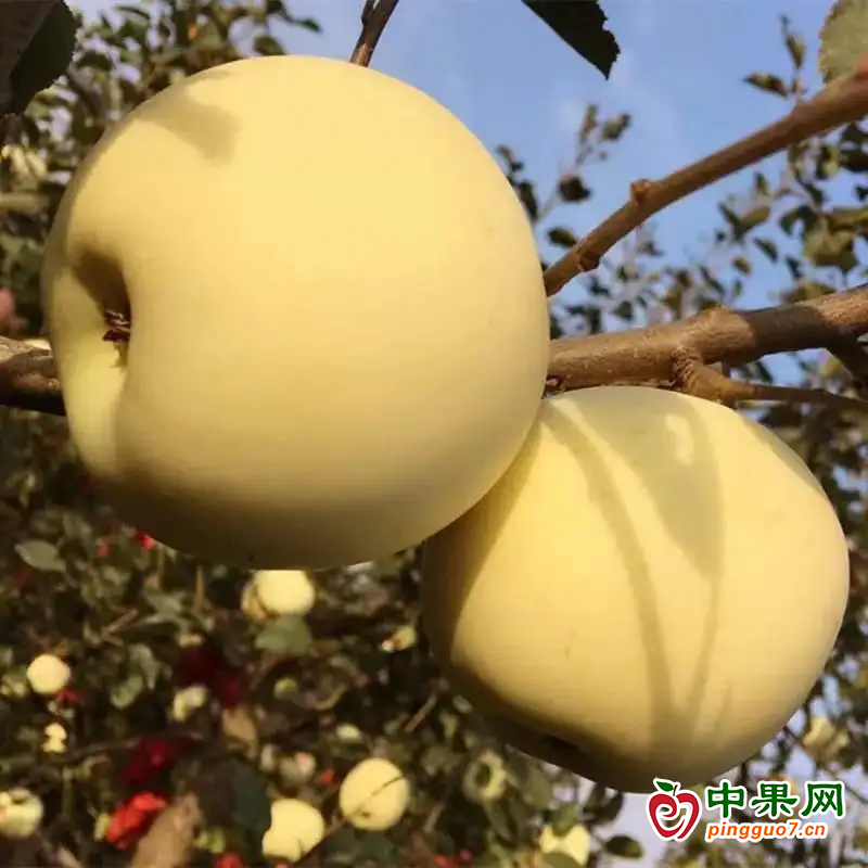 图片 4