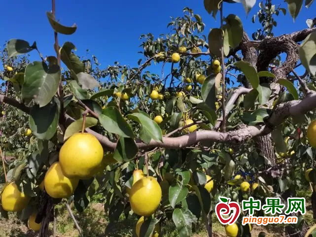 图片 2
