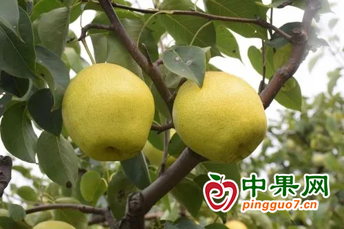 图片 5
