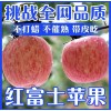 山东红富士苹果产地《坏果包赔》产地一手货源