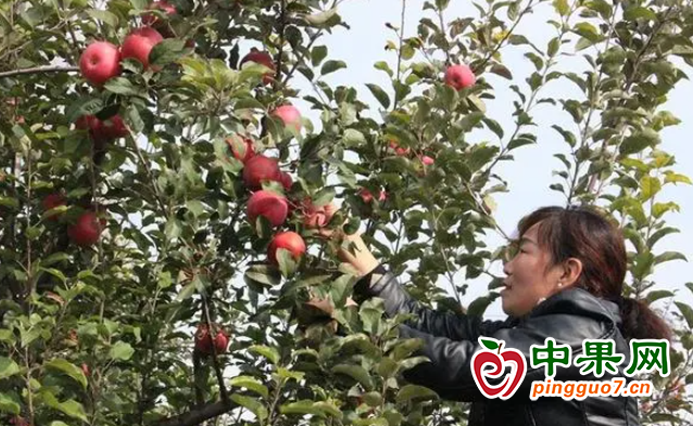 图片 2