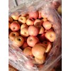 陜西紅富士蘋果價格走勢