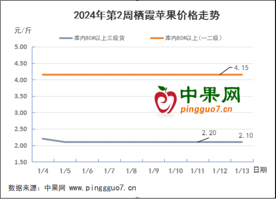 年后苹果补货清淡 果农压力明显增加 ()