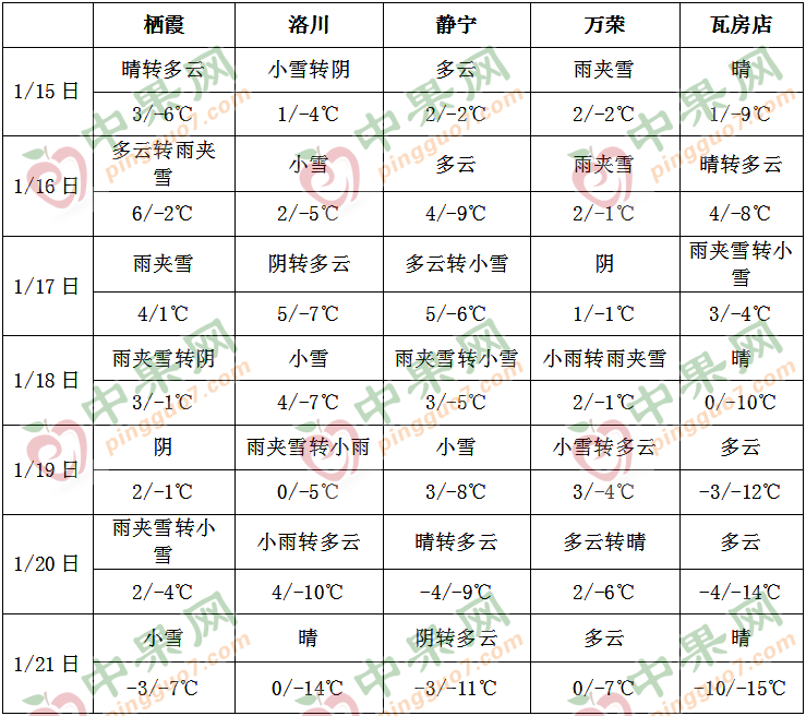 多地迎来降雪 影响苹果交易 ()