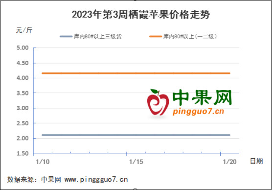 春节备货清淡  苹果交易压力仍在 ()